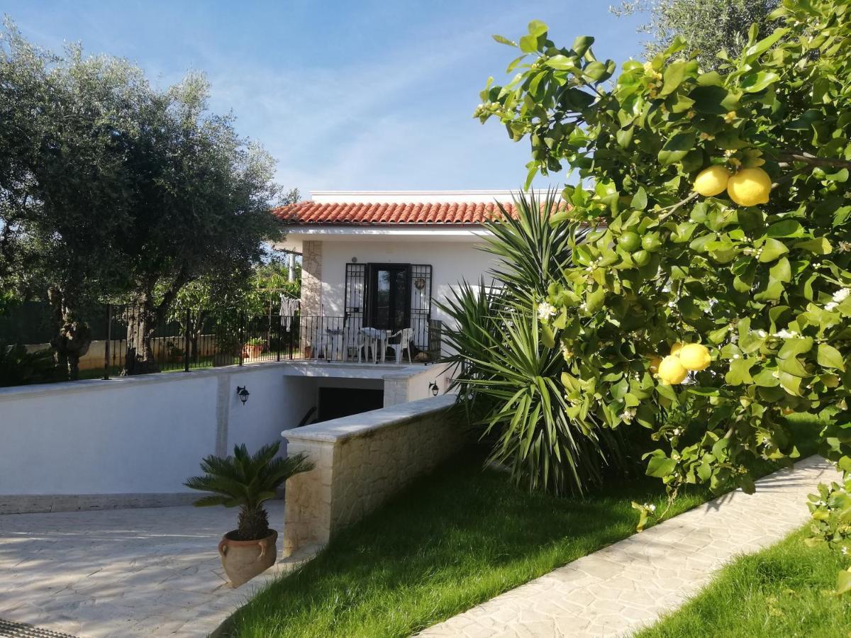 Maya Holiday home